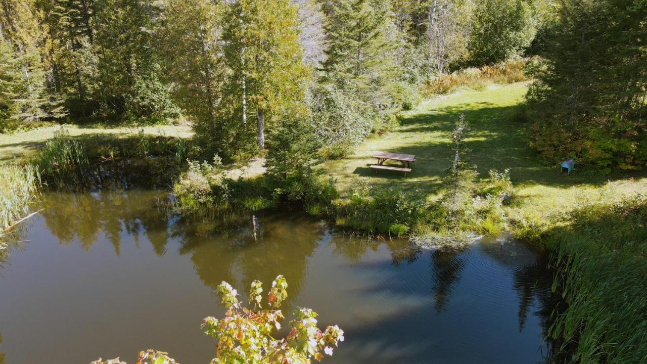 La Cabane Secrete Matane Exteriér fotografie