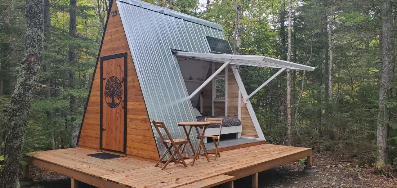 La Cabane Secrete Matane Exteriér fotografie