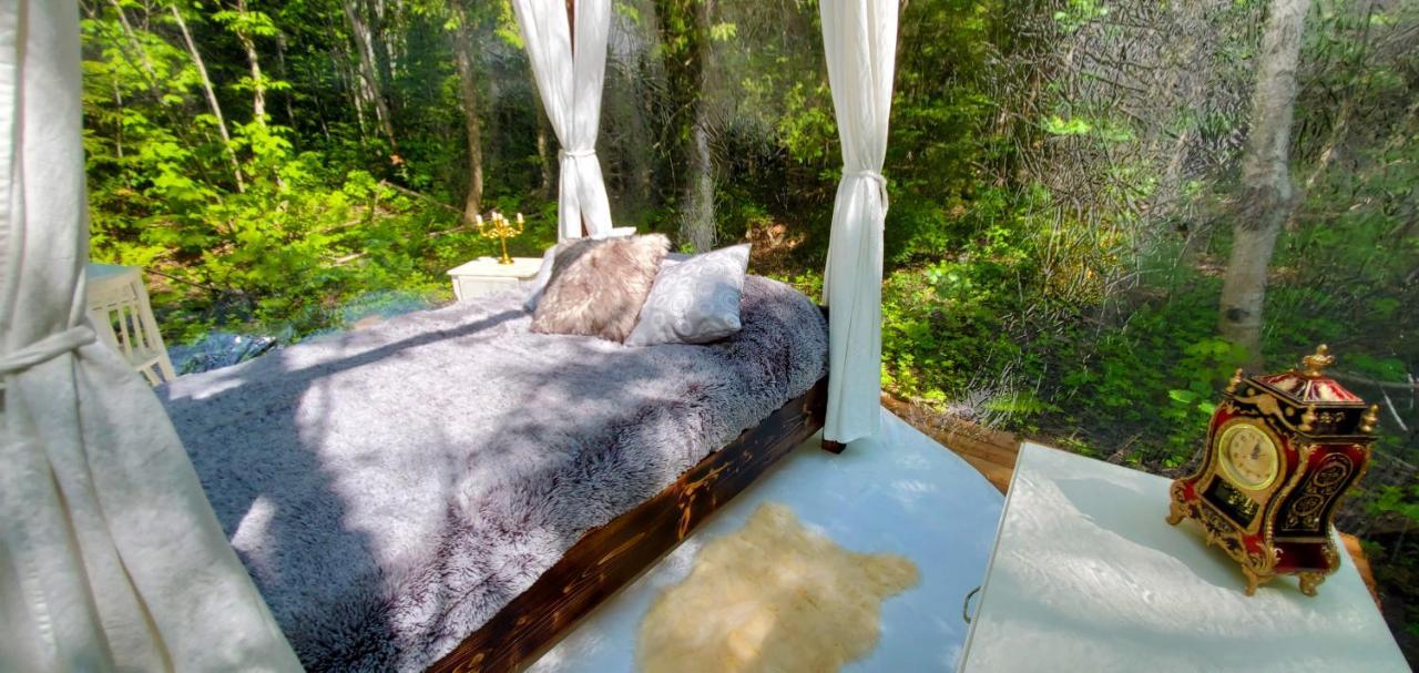 La Cabane Secrete Matane Exteriér fotografie